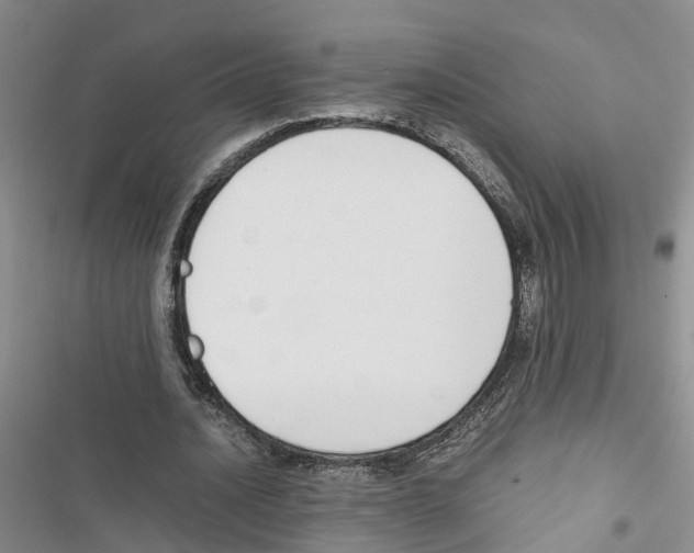 X0000116820628201001151205