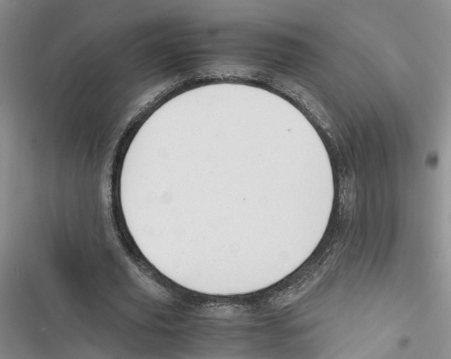 X0000116820629201001151205