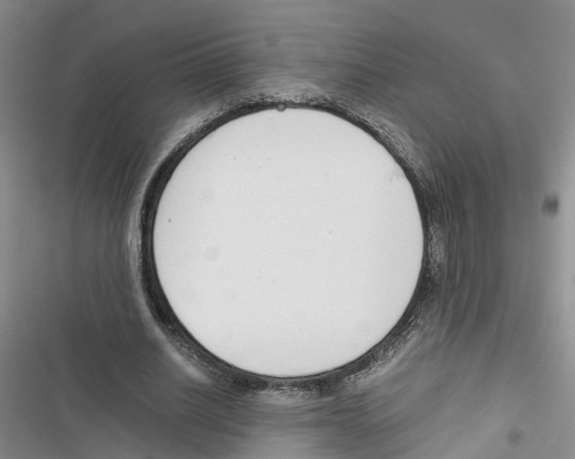 X0000116820630201001151205