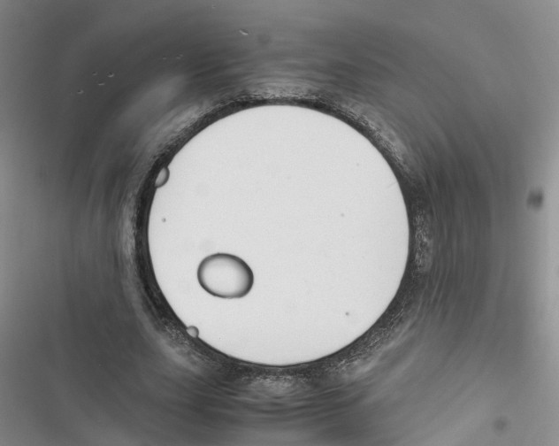 X0000116820631201001151206