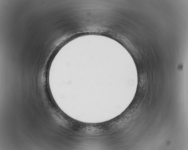 X0000116820632201001151206