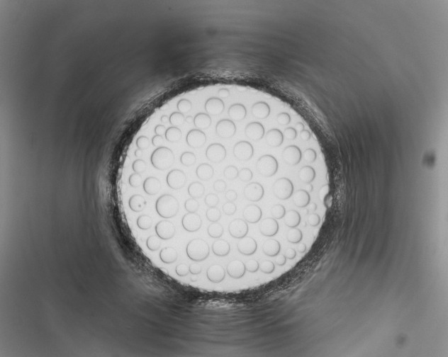 X0000116820635201001151206