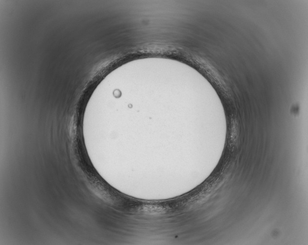 X0000116820636201001151206