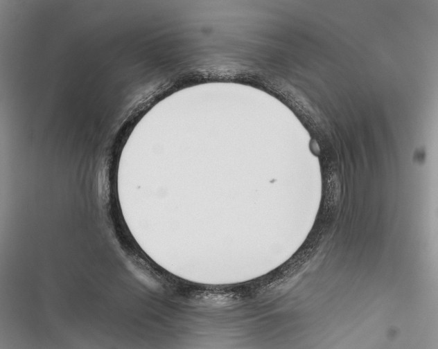 X0000116820638201001151206