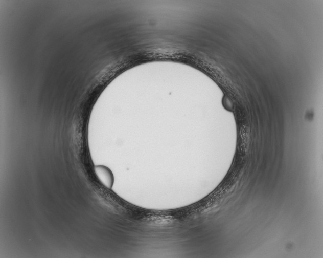 X0000116820642201001151206