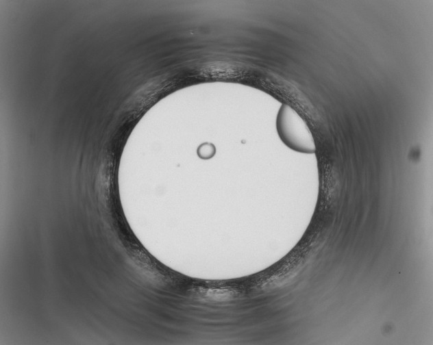 X0000116820645201001151206