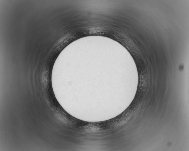 X0000116820648201001151206