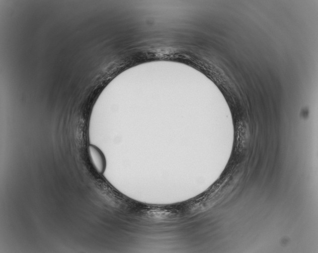 X0000116820650201001151206