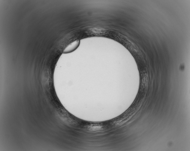 X0000116820651201001151206