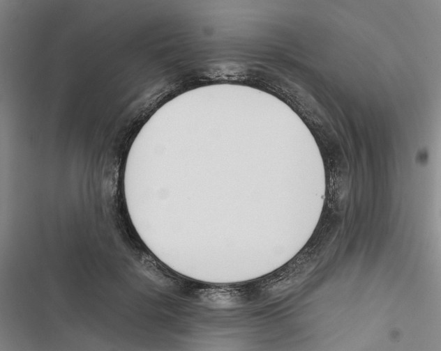 X0000116820652201001151206