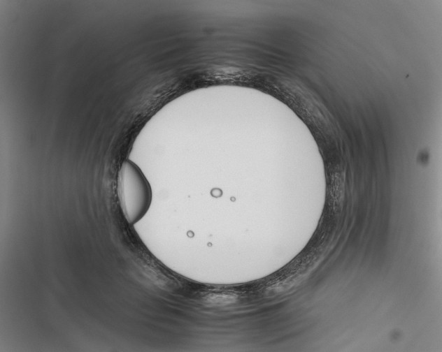 X0000116820653201001151206