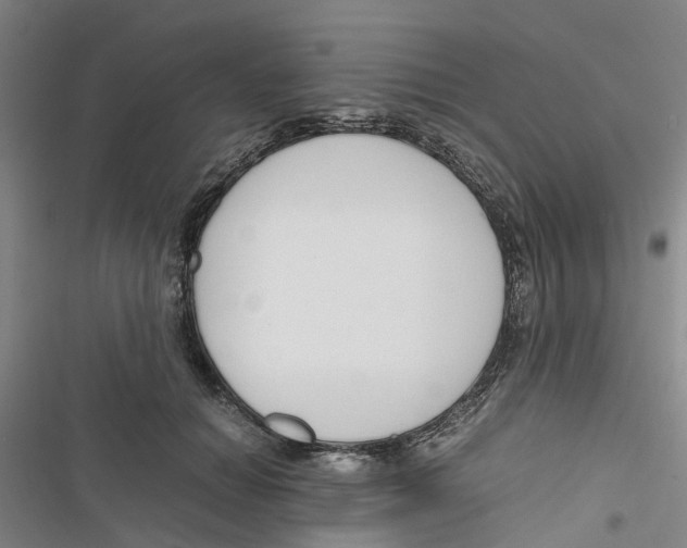 X0000116820654201001151206