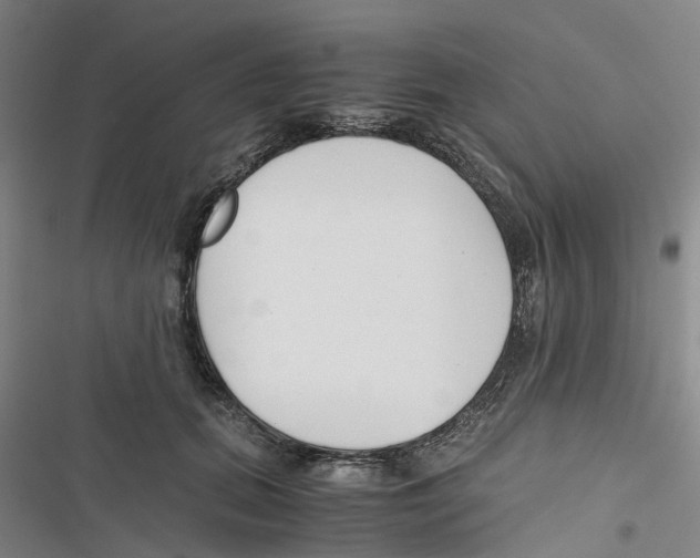 X0000116820655201001151206