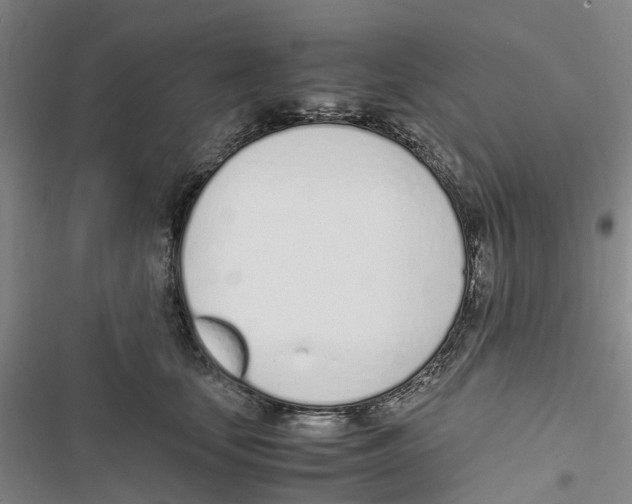 X0000116820659201001151206