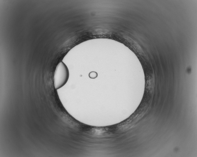 X0000116820662201001151206