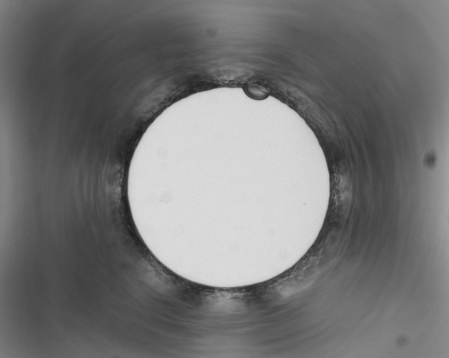 X0000116820664201001151206