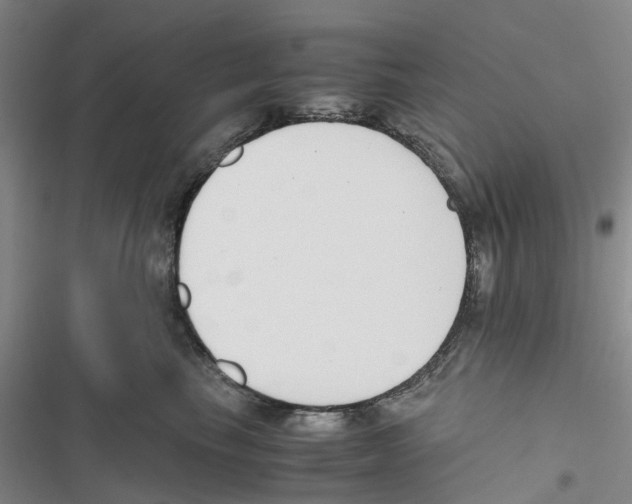 X0000116820665201001151206