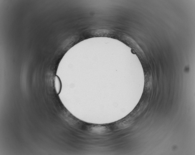 X0000116820669201001151206