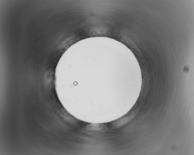 X0000116820672201001151206