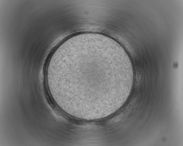 X0000116820674201001151205