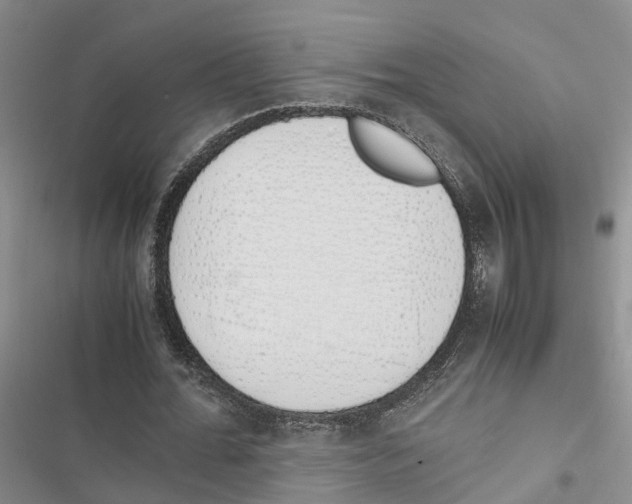 X0000116820676201001151205