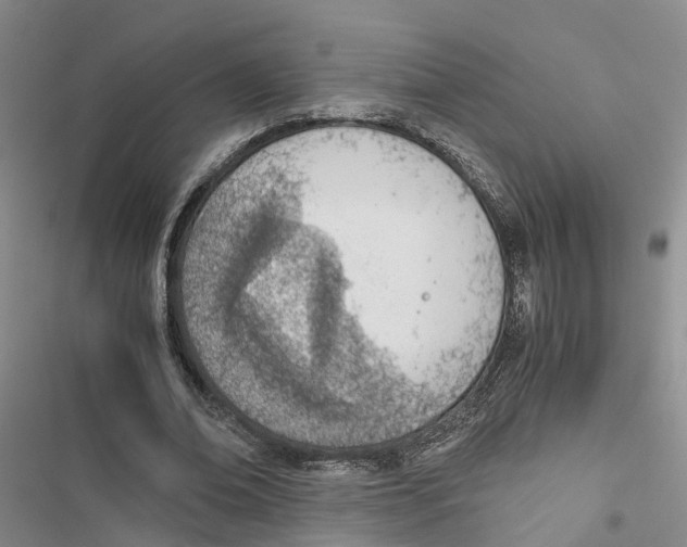 X0000116820678201001151205