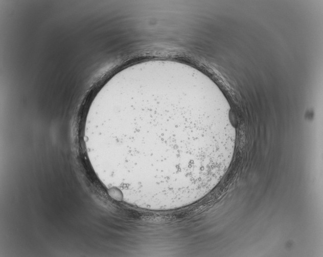 X0000116820679201001151205