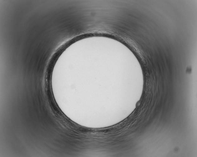 X0000116820680201001151205