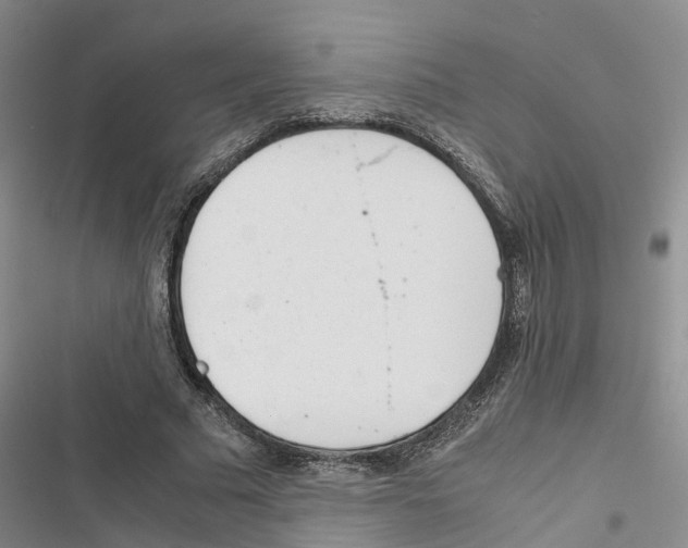 X0000116820681201001151205