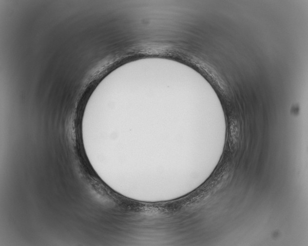 X0000116820682201001151205