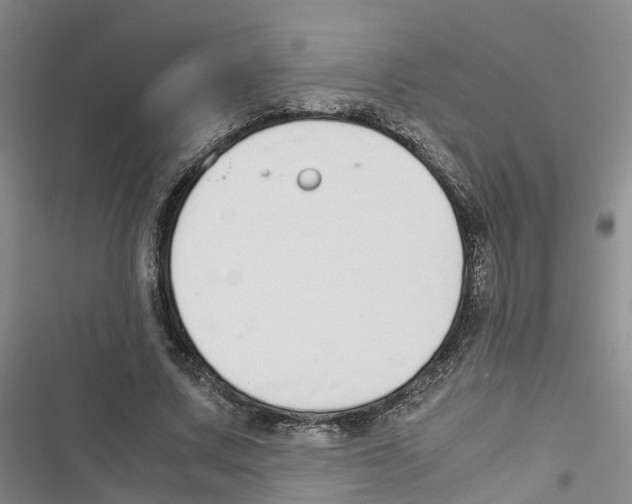 X0000116820683201001151205