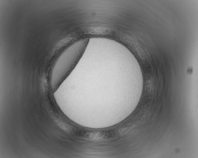 X0000116820688201001151205