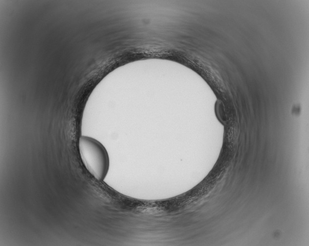 X0000116820689201001151205