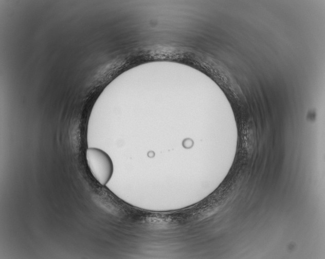 X0000116820690201001151205