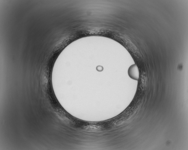 X0000116820691201001151205