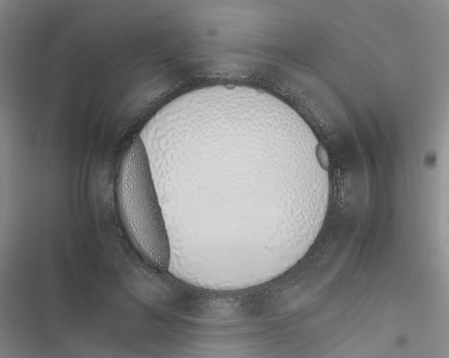 X0000116820692201001151205