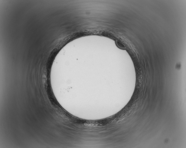 X0000116820693201001151205