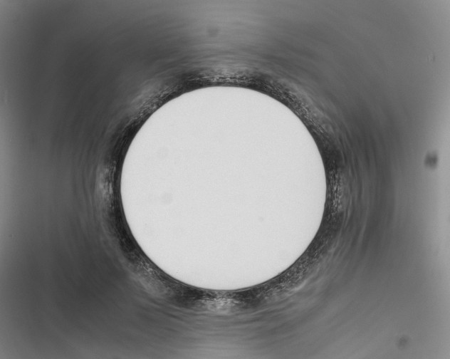 X0000116820695201001151205