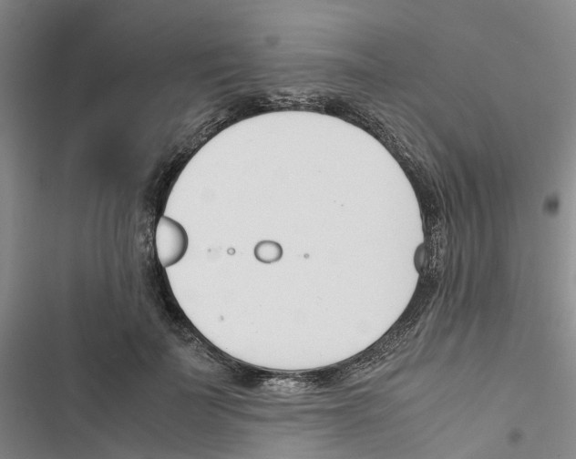 X0000116820699201001151205