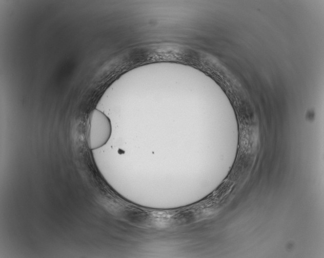 X0000116820701201001151205