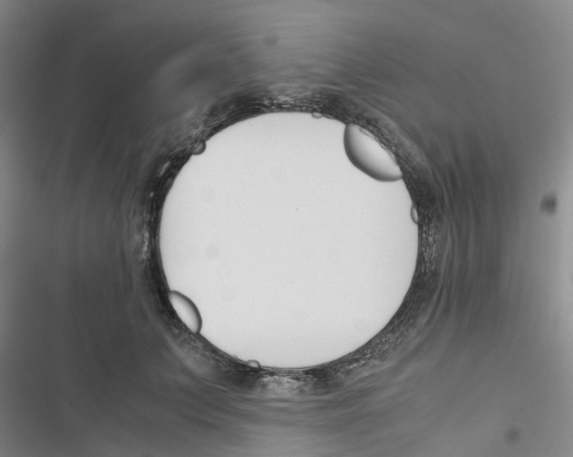 X0000116820703201001151205