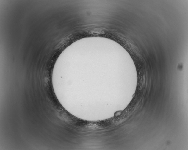 X0000116820704201001151205