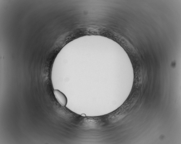 X0000116820706201001151205