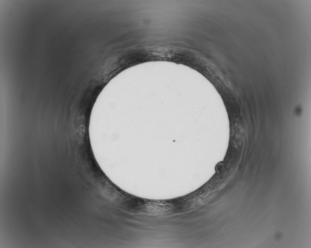 X0000116820707201001151205