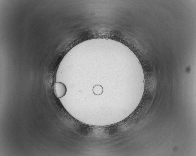 X0000116820709201001151205