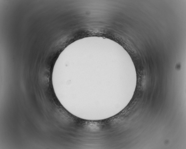 X0000116820710201001151205