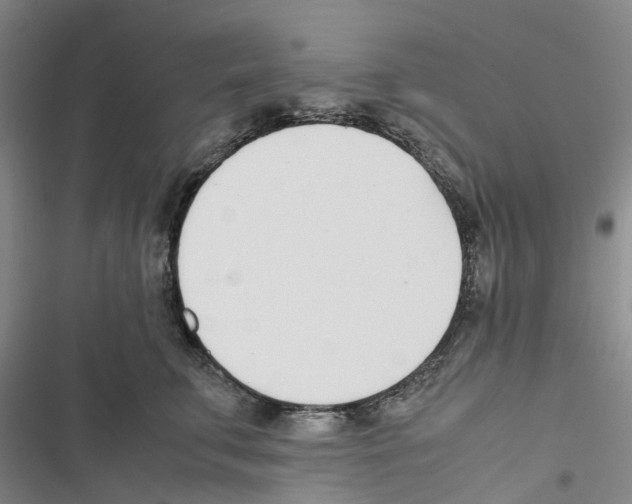 X0000116820711201001151205