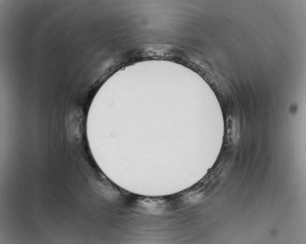 X0000116820712201001151205