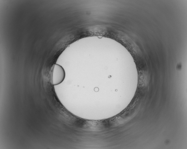 X0000116820713201001151205