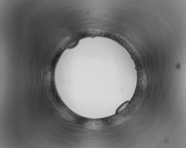 X0000116820716201001151205